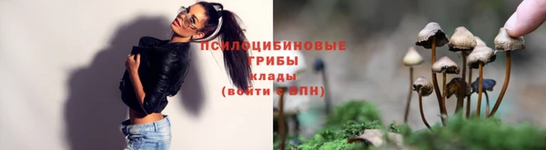 СК Алзамай