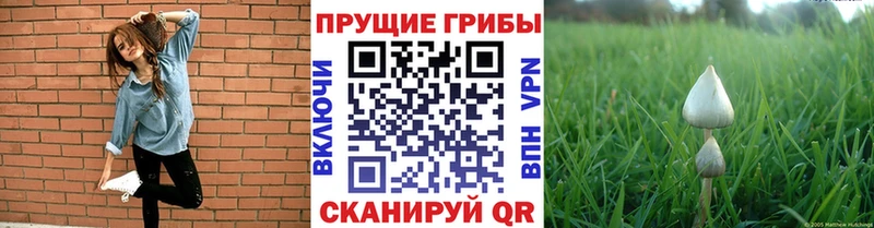 Галлюциногенные грибы мицелий  где купить   мега ссылки  Комсомольск 